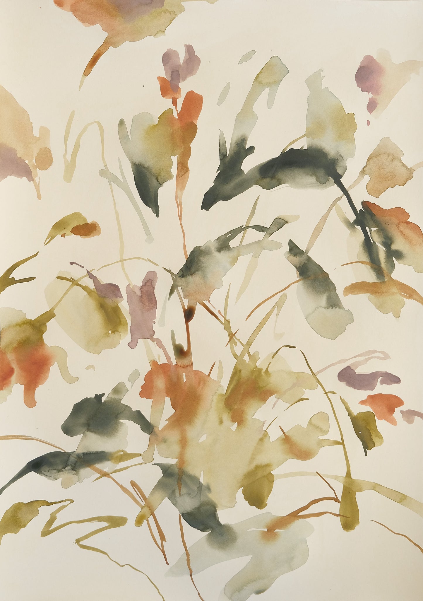 warm meadows