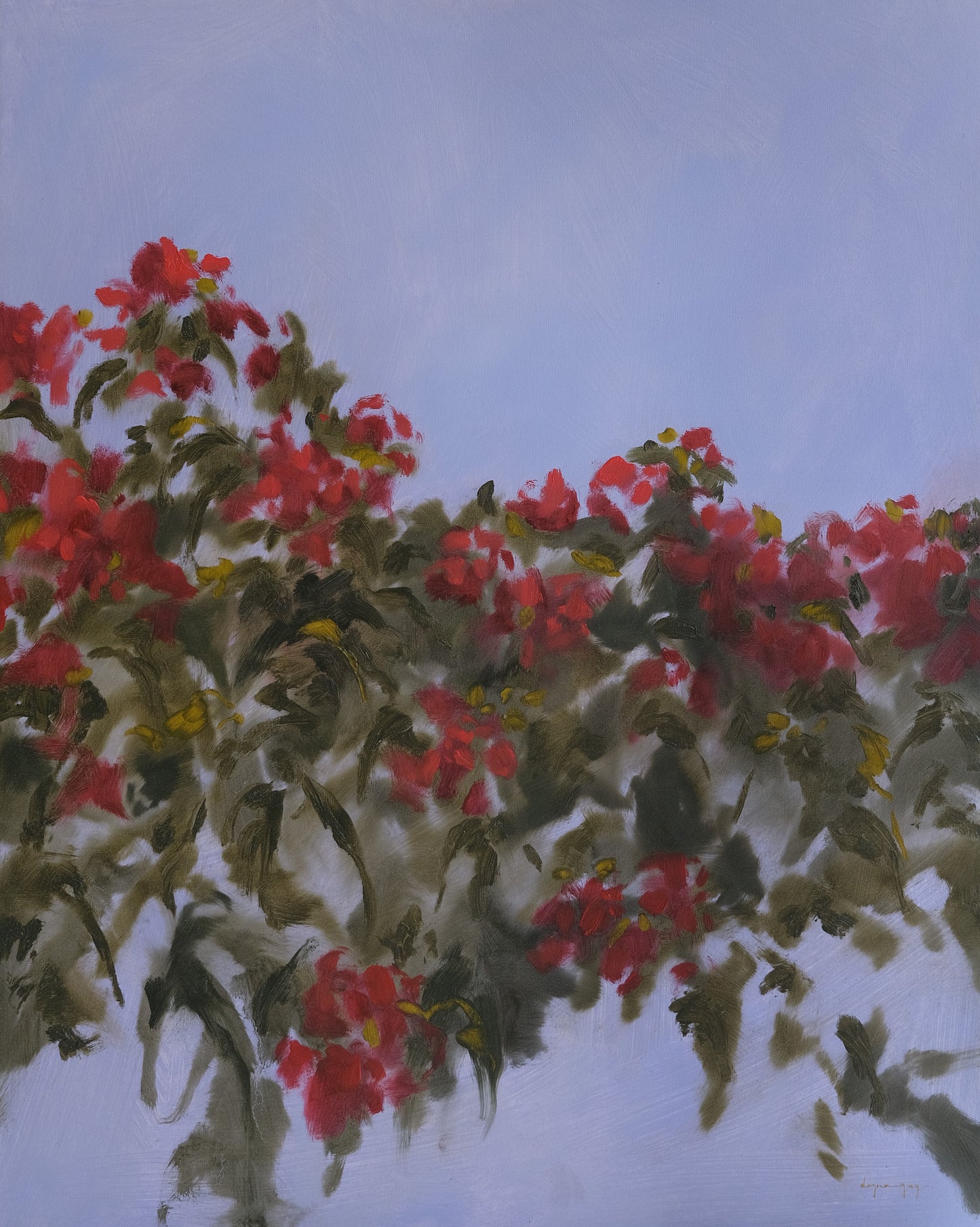 summer and her flowering gums