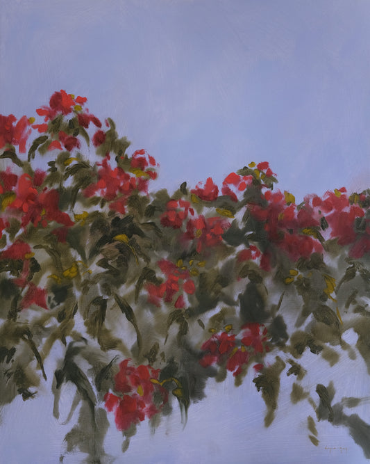 summer and her flowering gums