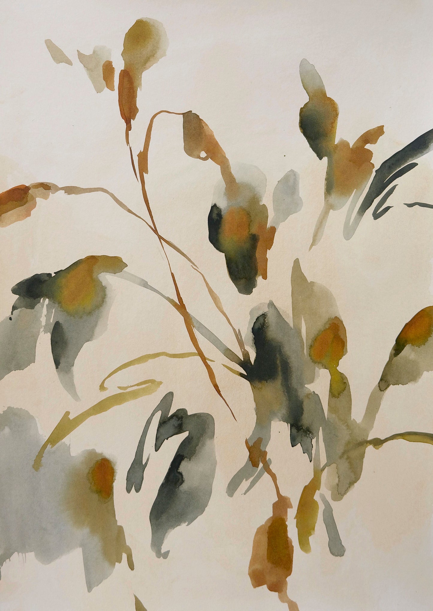 little meadow (iii)